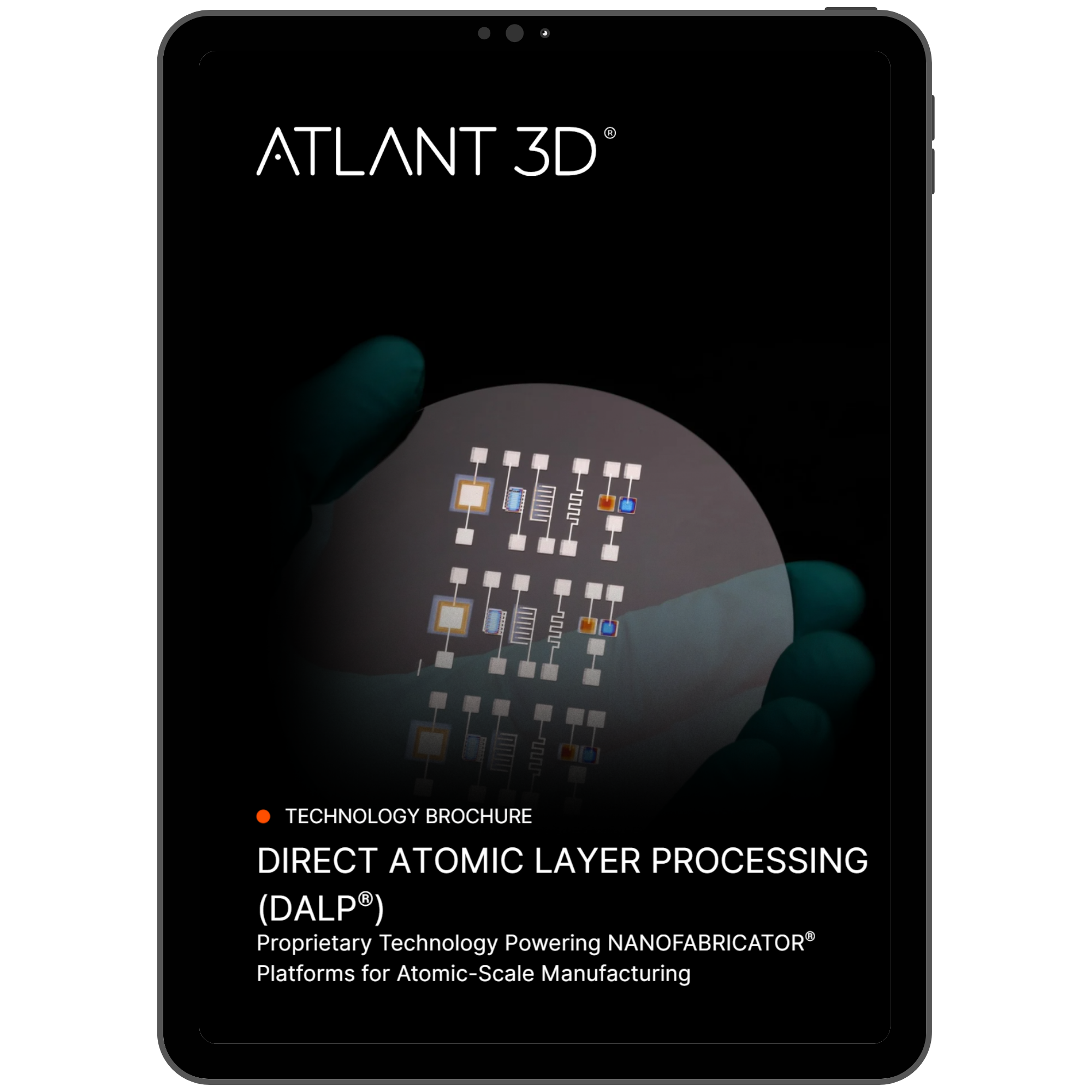 DALP Brochure.1